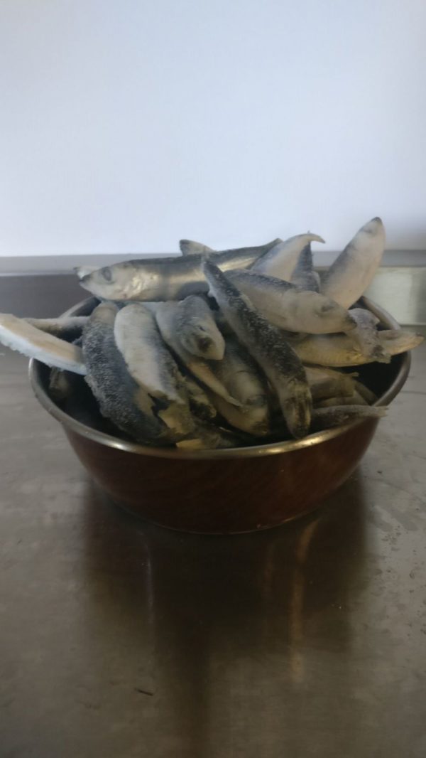 DAF Whole Sardines