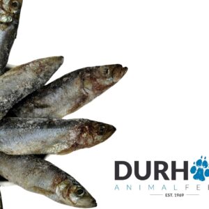 Herring Whole Durham