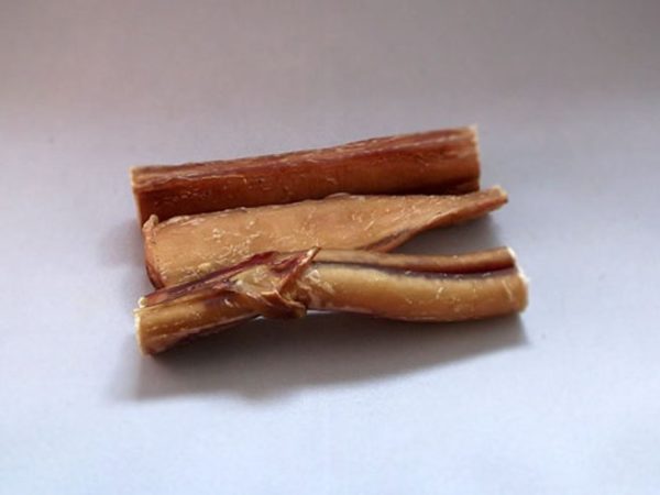 Bulls 5" Pizzle Sticks