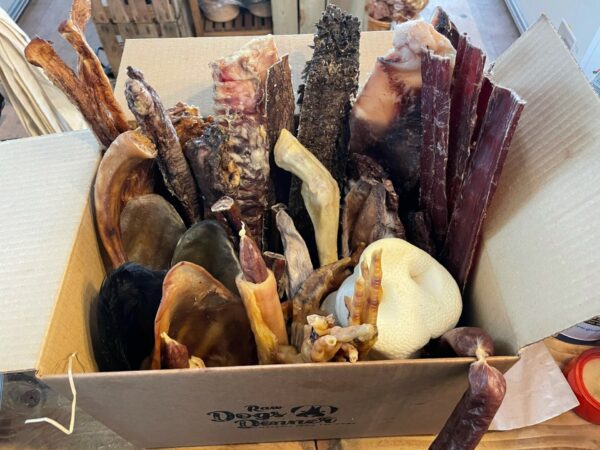 Chomp Box 75 Piece