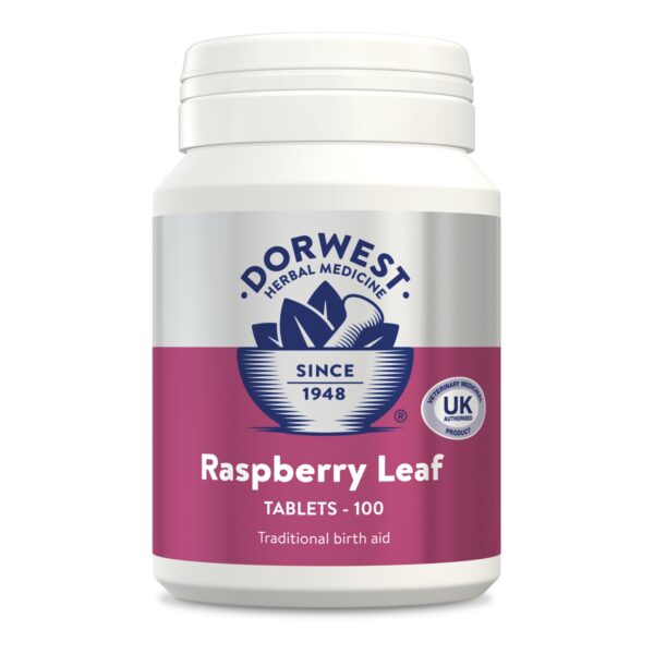 Raspberry Leaf Tablets For Dogs And Cats