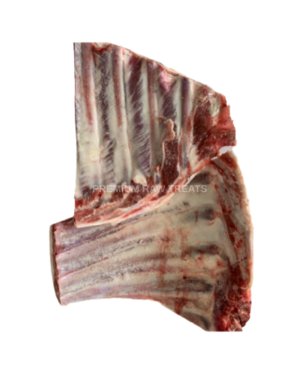 Lamb Ribs
