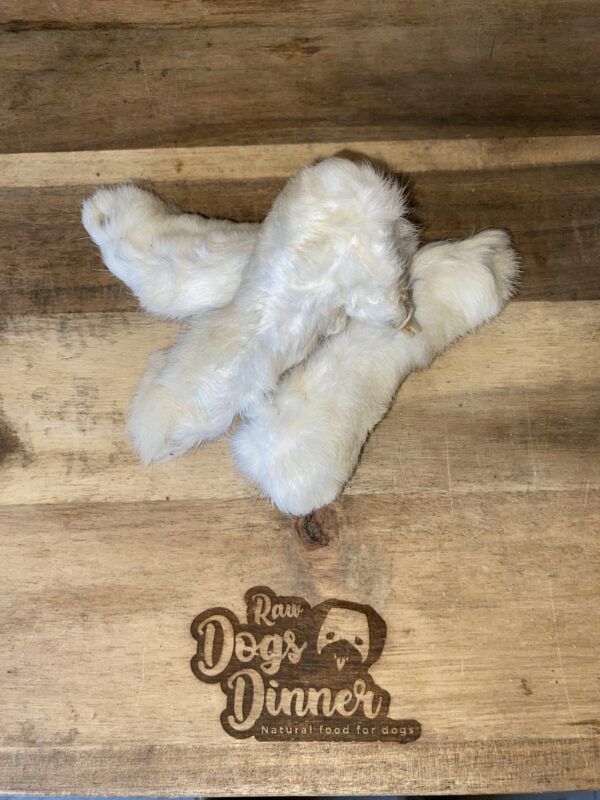 Natural Hairy Rabbit Feet (Dried)