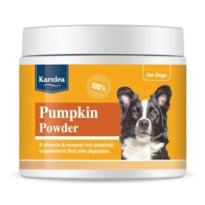 Pumpkin Powder