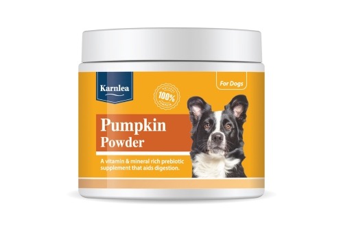 Pumpkin Powder