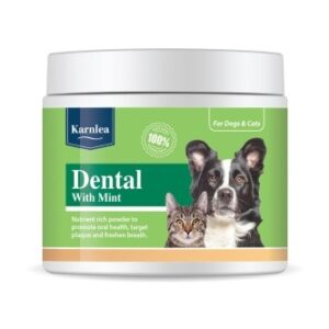 DENTAL WITH MINT - 200G