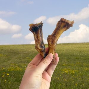 Small Ostrich Foot