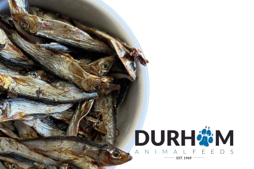 Dried Sprats Durham