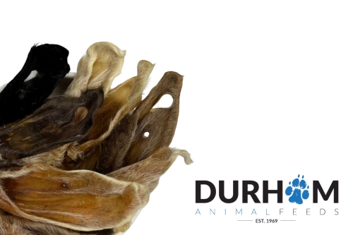 Lamb Ears with Hair Durham